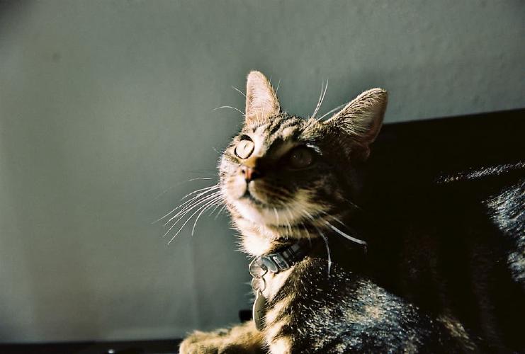 tali sits in the sun