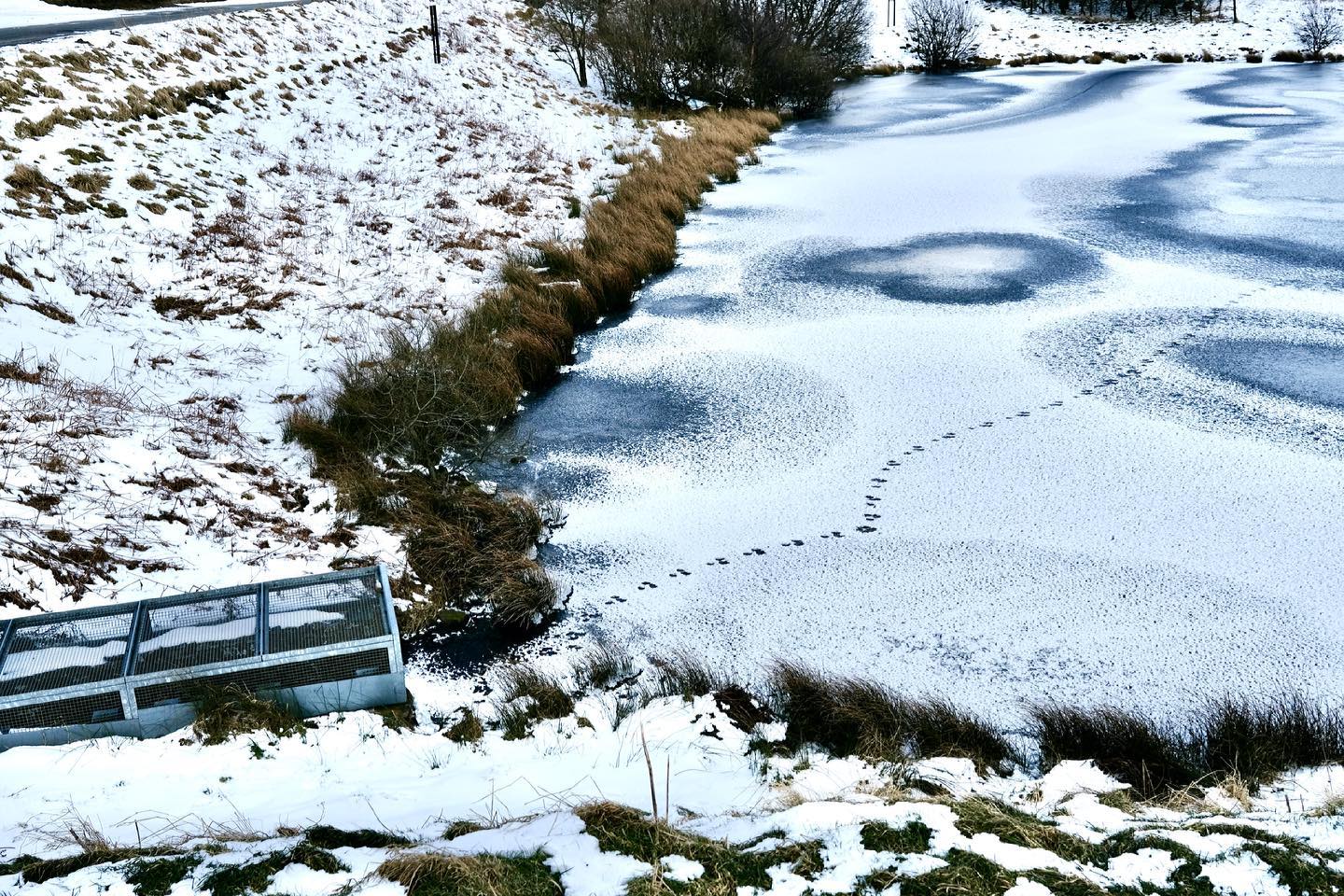 Frozen lake with footsteps