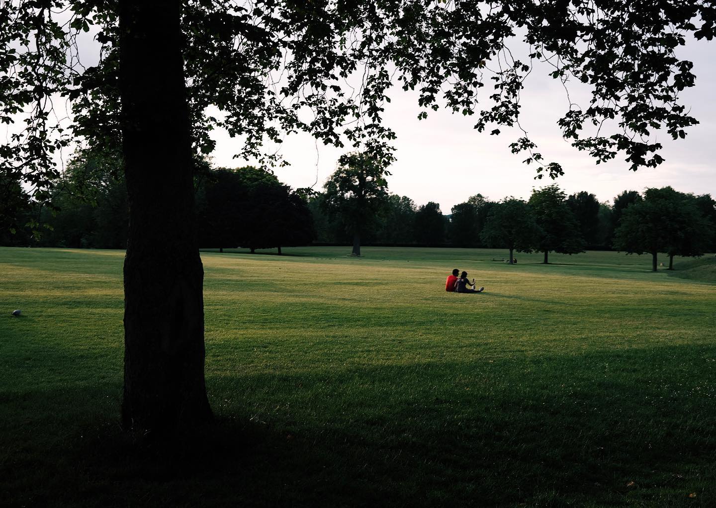 A park at sunset