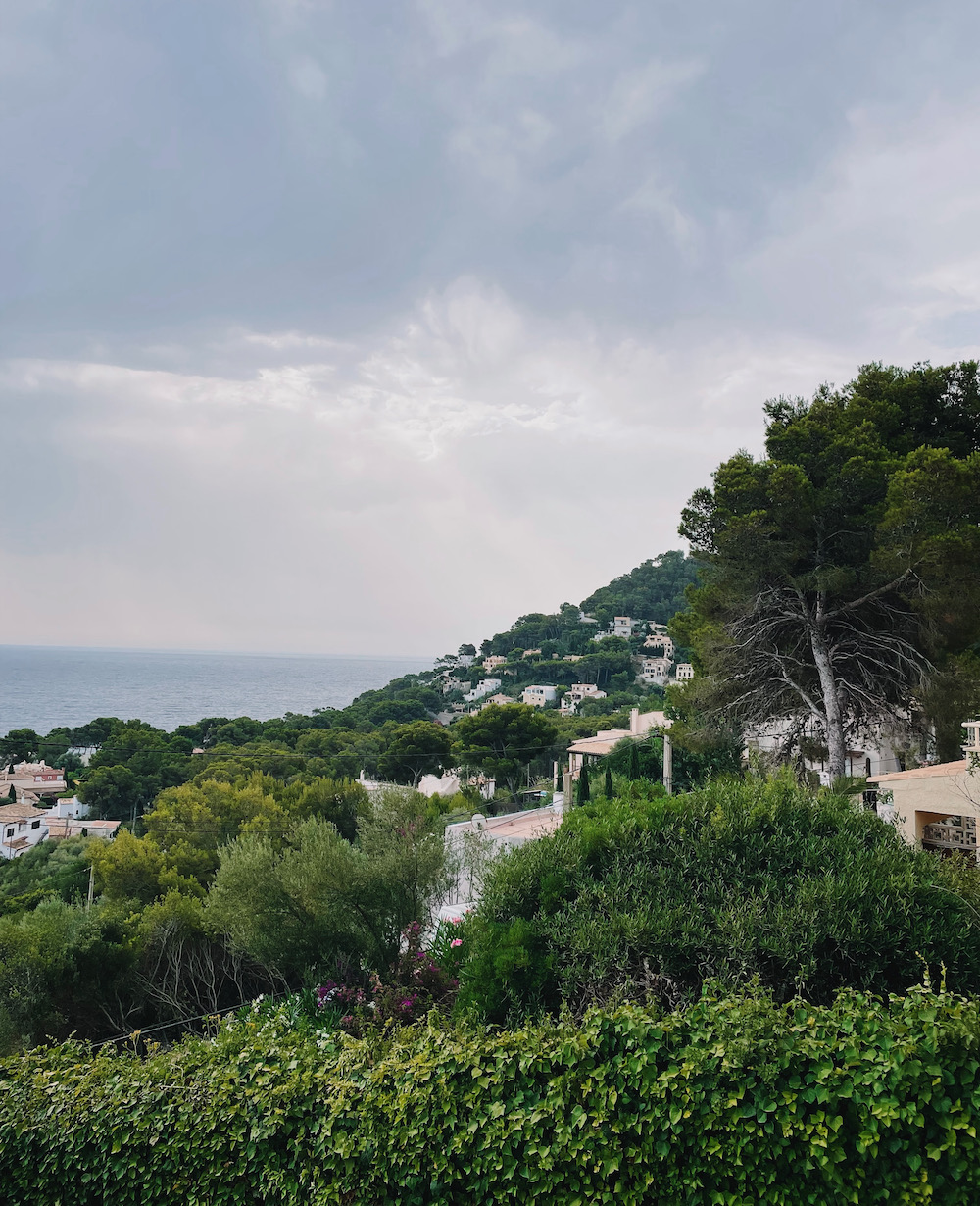 Houses amongst trees on a hillside