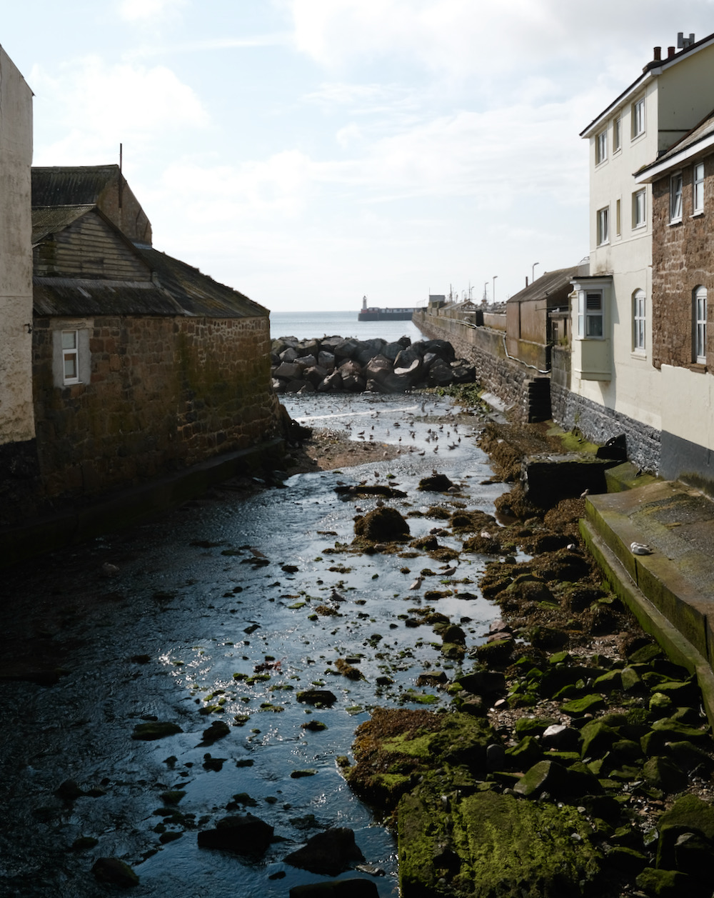 Rocks and kelp in a channel between houses