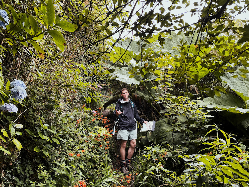 A man surrounded by plants