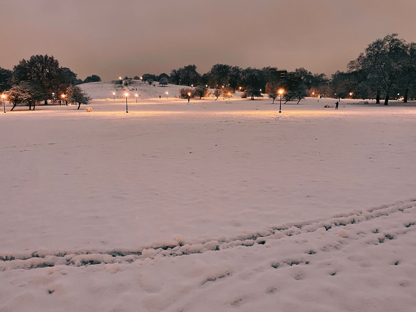 Primrose Hill covered in snow in pre-dawn light