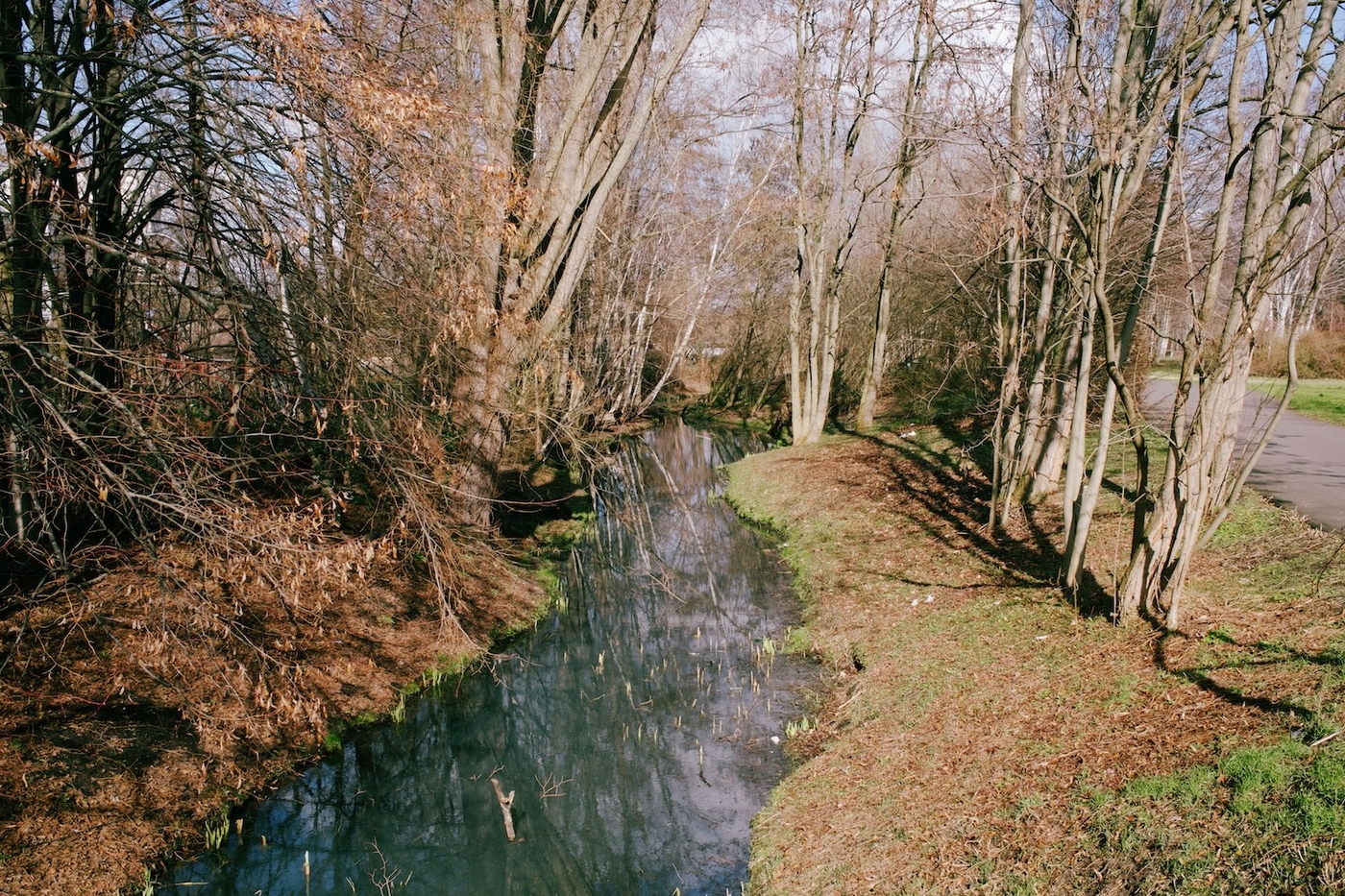 A small stream in a city park