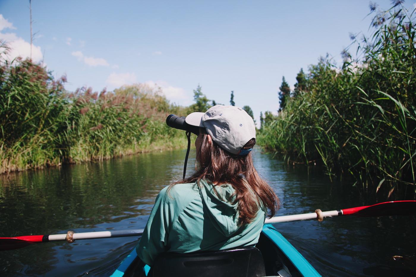 Happy Birthday Birds