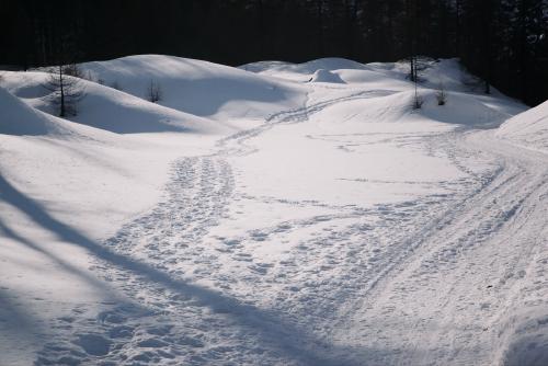 Footprints in snow