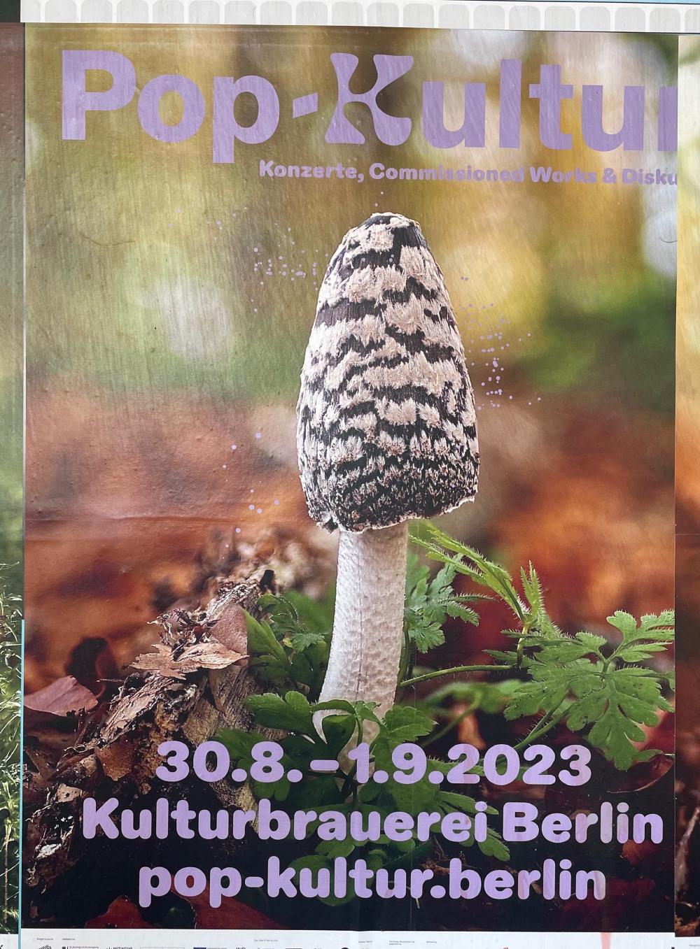 Poster for Pop Kultur at Kulturbrauerei, featuring photography of a mushroom