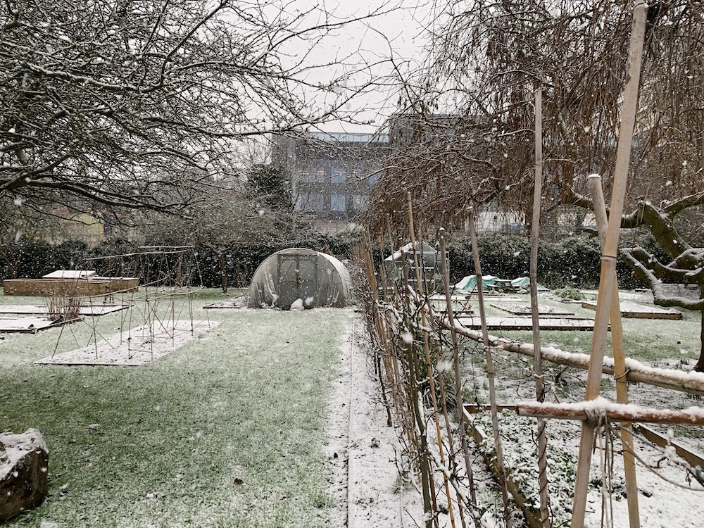 Snow covering a small allottment in a park